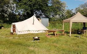 Coed Y Brenin Retreat - Bell Tent Glamping Near Aberaeron