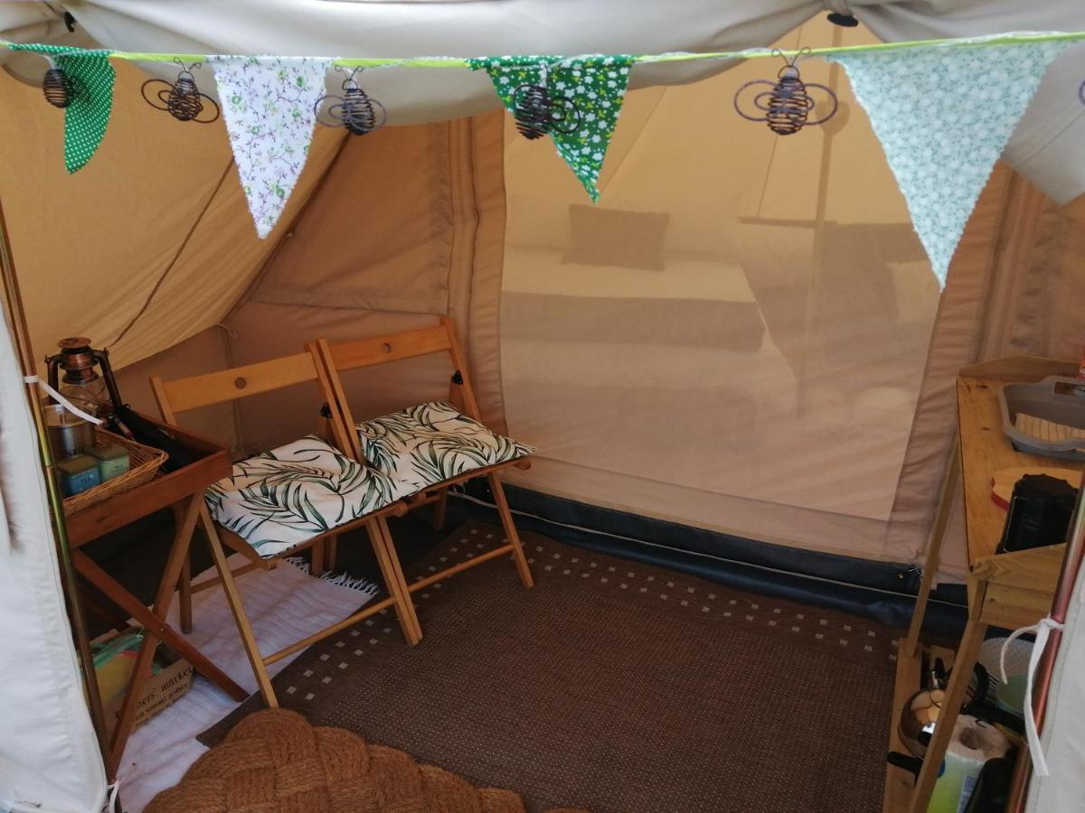 Coed Y Brenin Retreat - Bell Tent Glamping Near Aberaeron Ciliau Aeron Exterior photo
